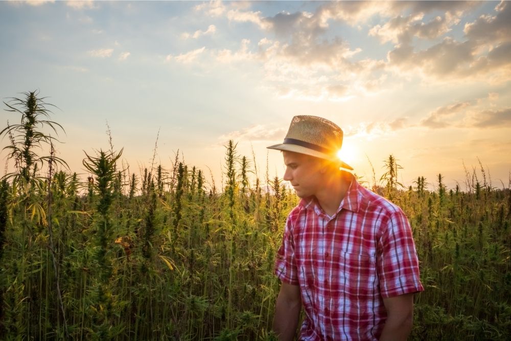 flannel man in field