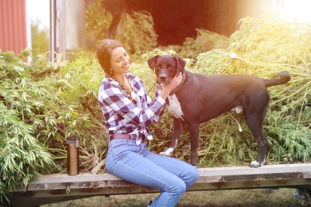 lady petting dog