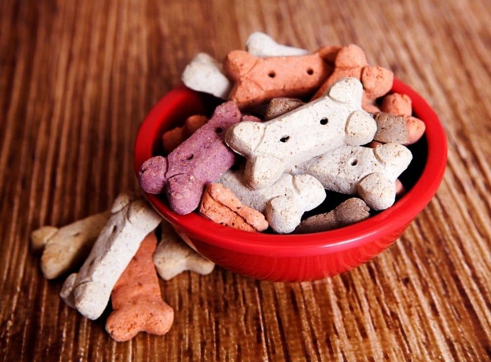 bowl of cbd dog treats