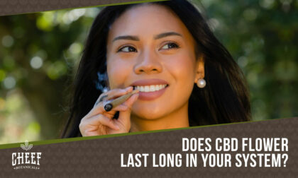 how long does cbd flower stay in your system