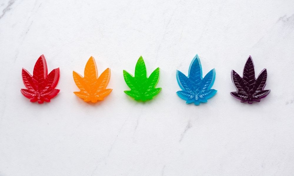 Hemp Oil vs. CBD Gummies