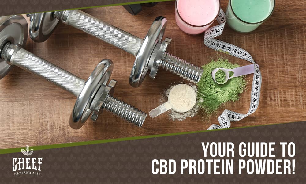 cbd protein powder