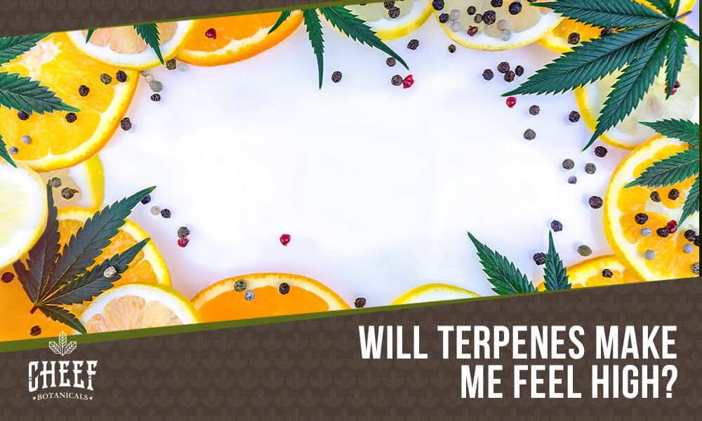 do terpenes get you high