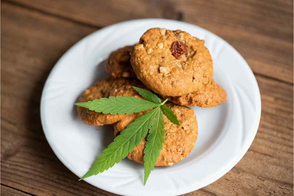 cbd cookies garnished with hemp flower