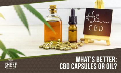 cbd capsules vs oil