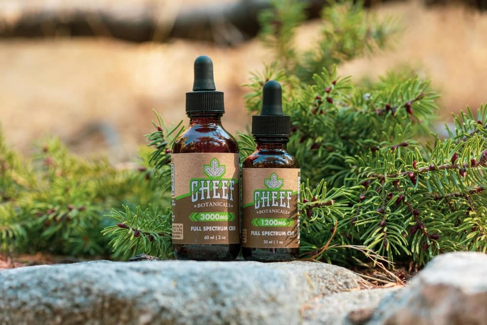 bottles of cannabidiol oil in woods