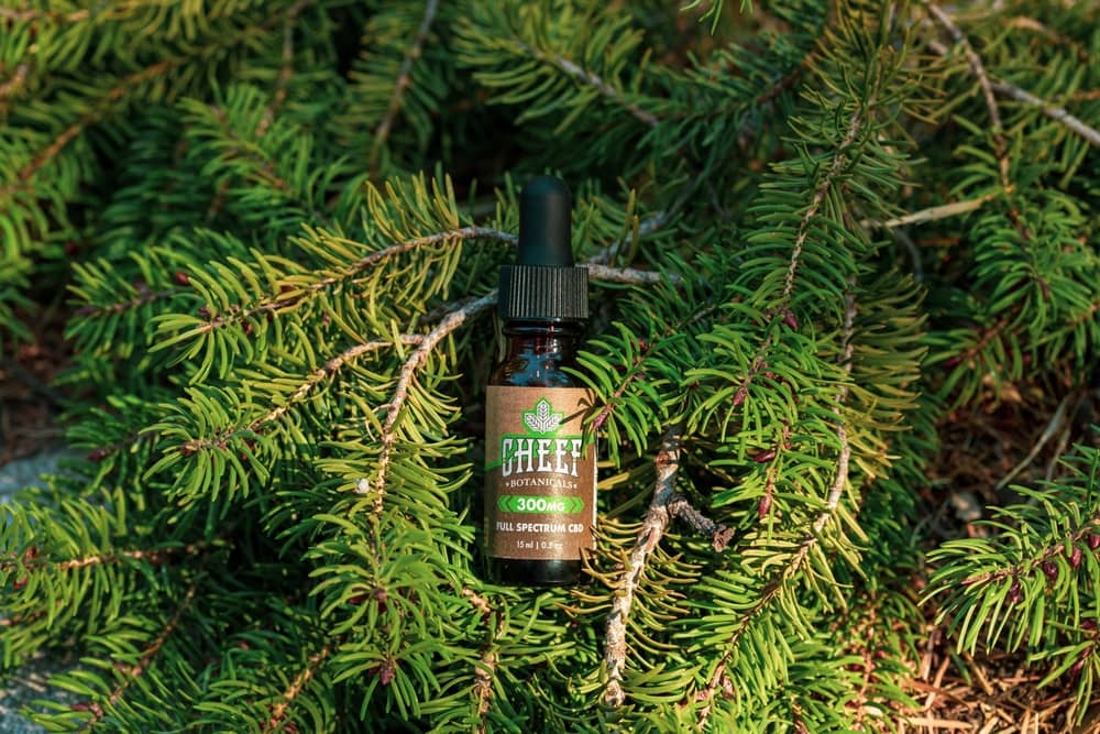 cbd oil resting on pine needles