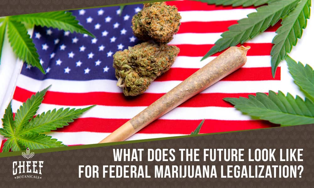 federal marijuana legalization
