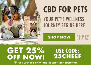 CBD for Pets Near Me [The Easiest Way 