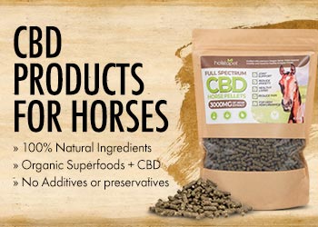 CBD Horse Products Mobile Banner