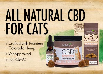 Cat treats All Natural Banner Mobile