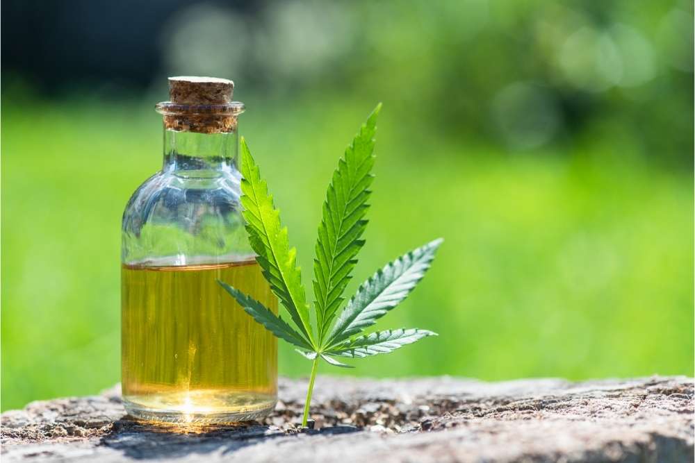 CBD-oil-with-leaf-in-grass