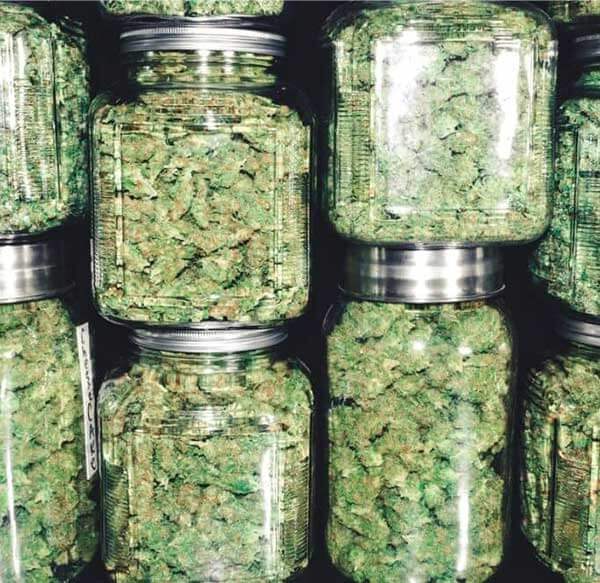 hemp flower in jars