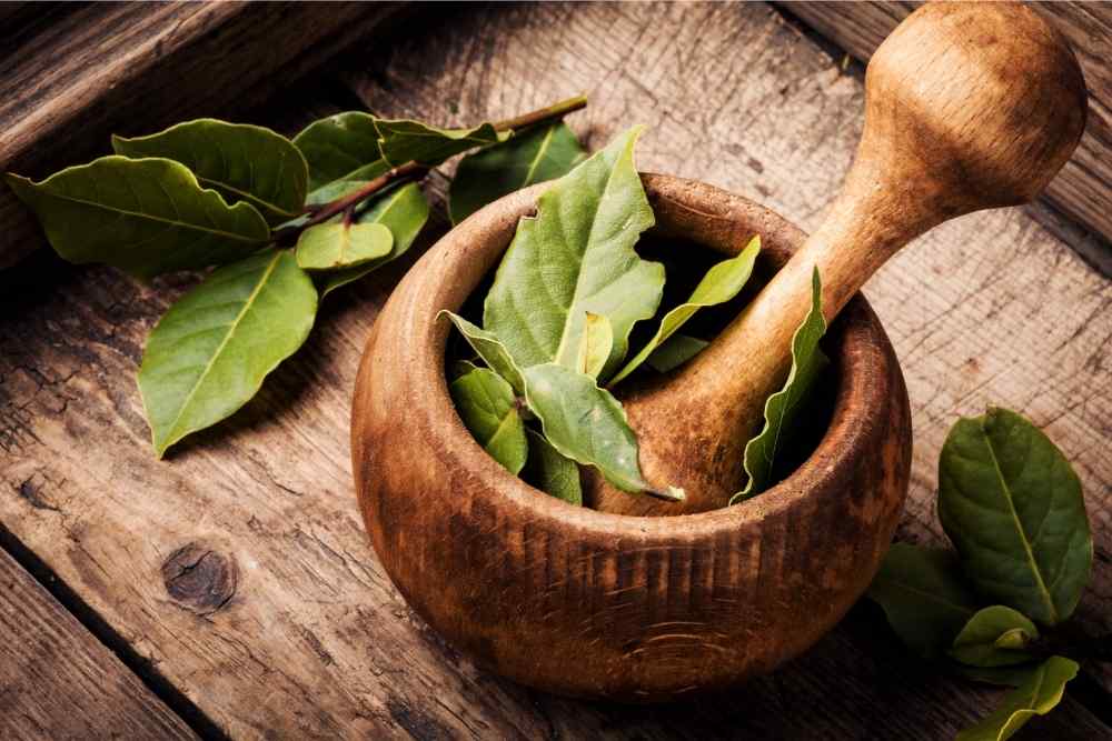 bay leaves in a mortar and pestle