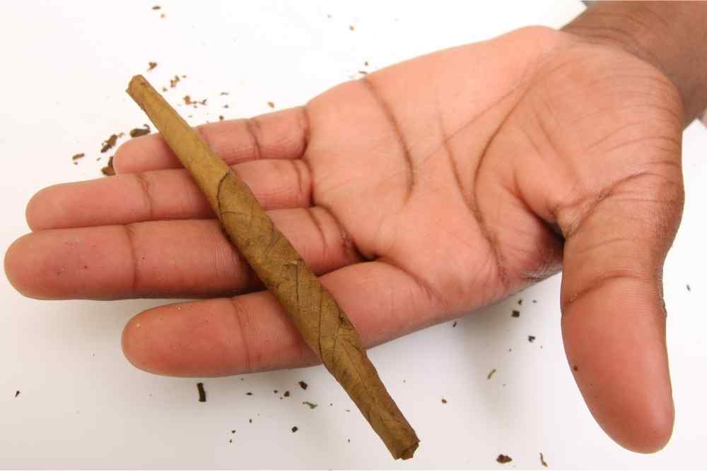 cannabis rolled blunt in hand