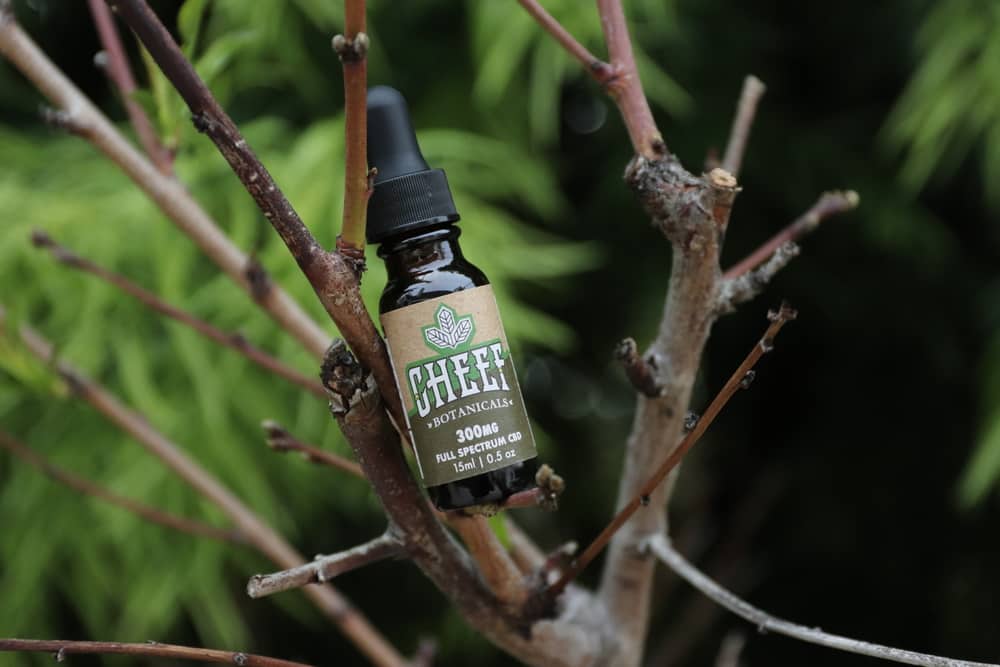 free cbd oil sitting in a tree