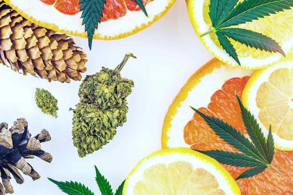 citrus hemp terpenes