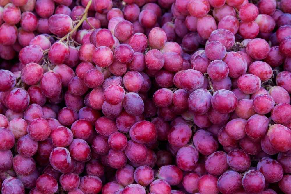 fresh fruity grapes