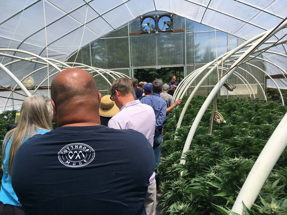 humboldt cannabis tours