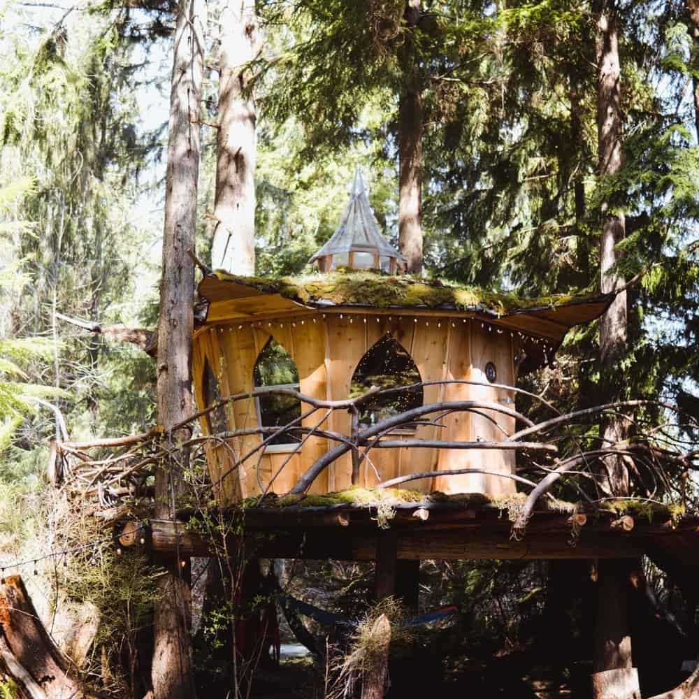 mountain views treehouse