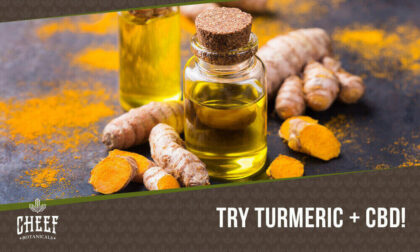 turmeric cbd oil