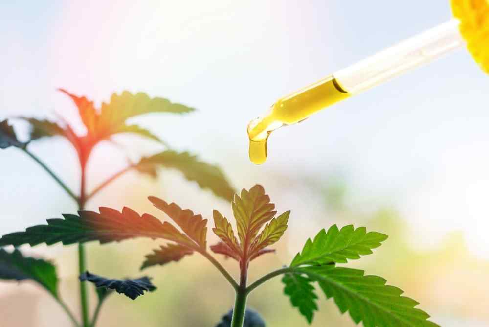 what is hemp cbd oil