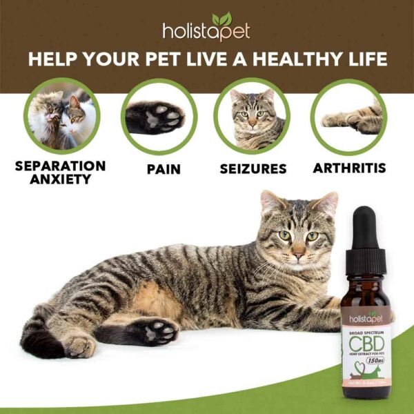 CBD For Cats Oil Amazon Style 03