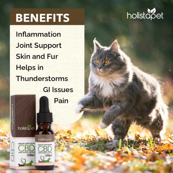 CBD For Cats Oil Amazon Style 04