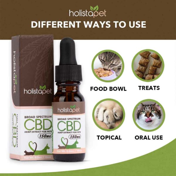 CBD For Cats Oil Amazon Style 05