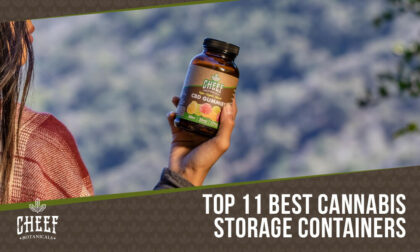 Top 11 Best Cannabis Storage Containers