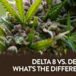 delta 8 vs delta 9
