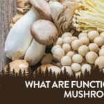 what are functional mushrooms