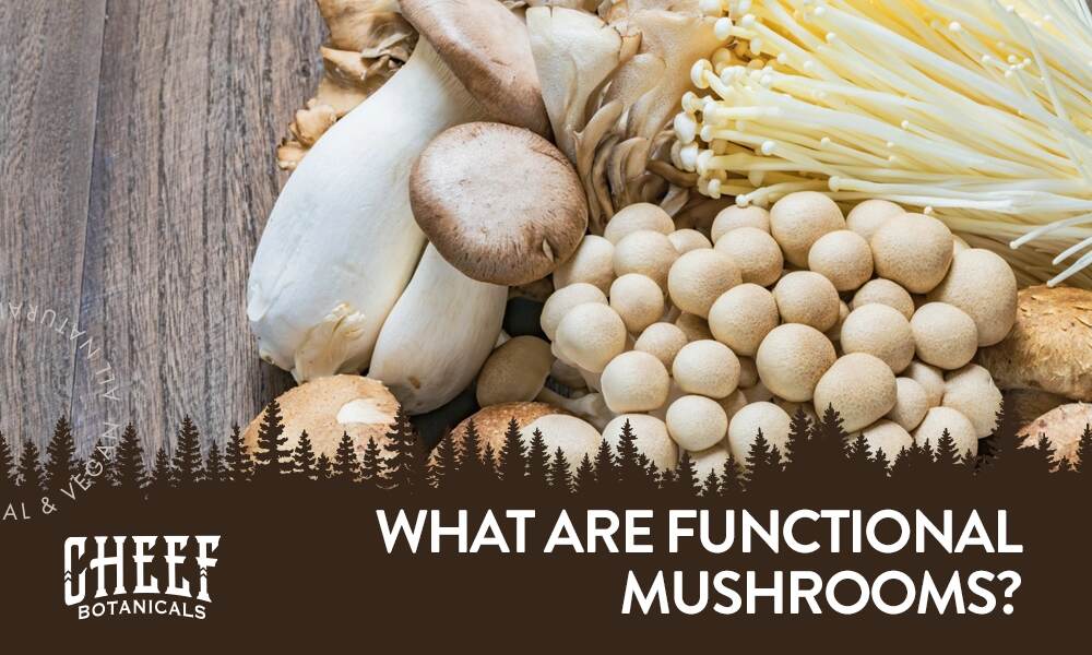 what are functional mushrooms