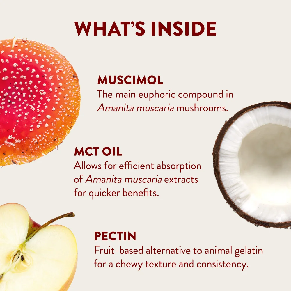 What's Inside Amanita Gummy Cubes