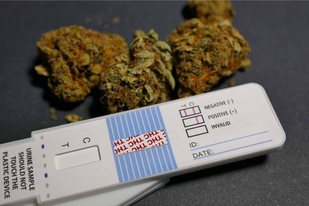 how long does delta-10 stay in your system drug test with flower