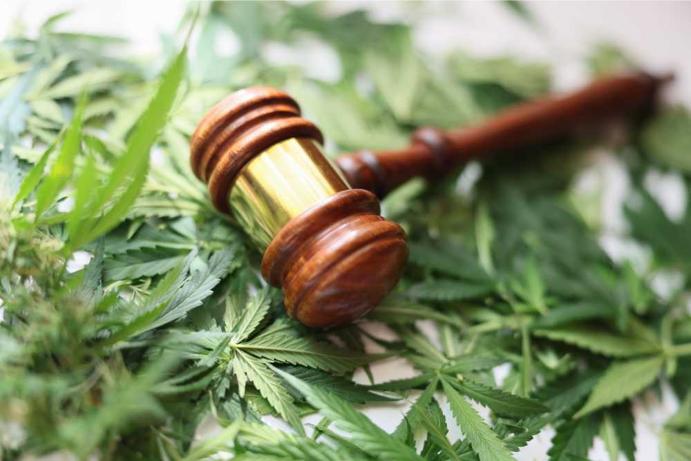 is delta 9 legal gavel on cannabis leaves