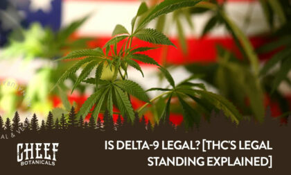 is delta-9 legal is thc legal