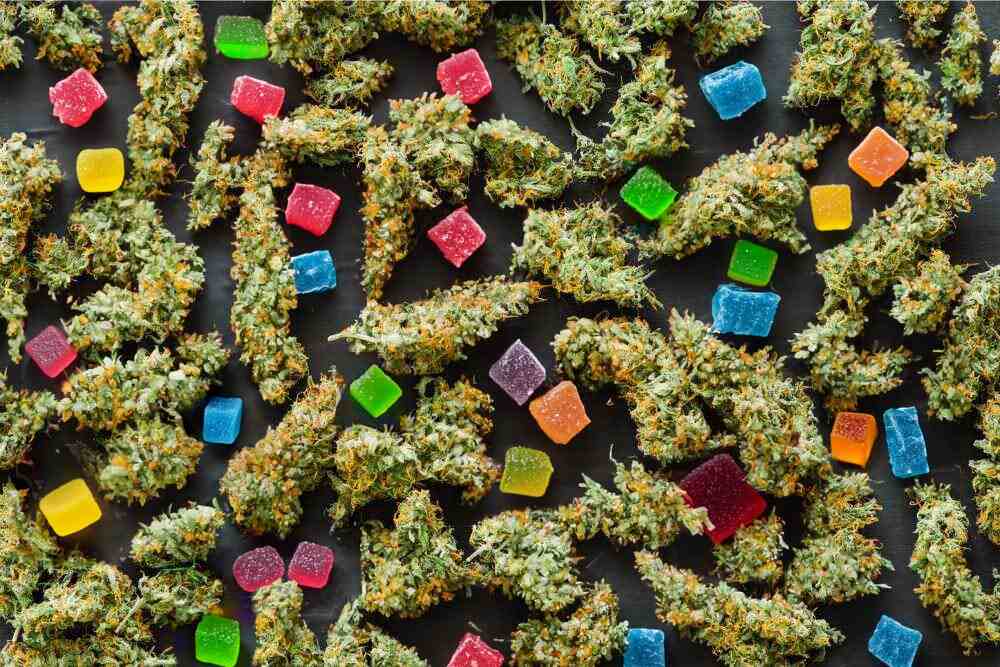 scattered cannabis buds and thc gummies