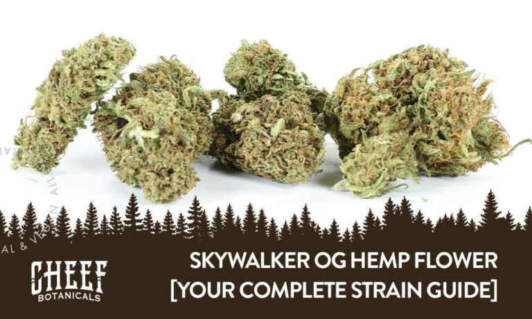 Skywalker OG Hemp Flower [Your Complete Strain Guide]