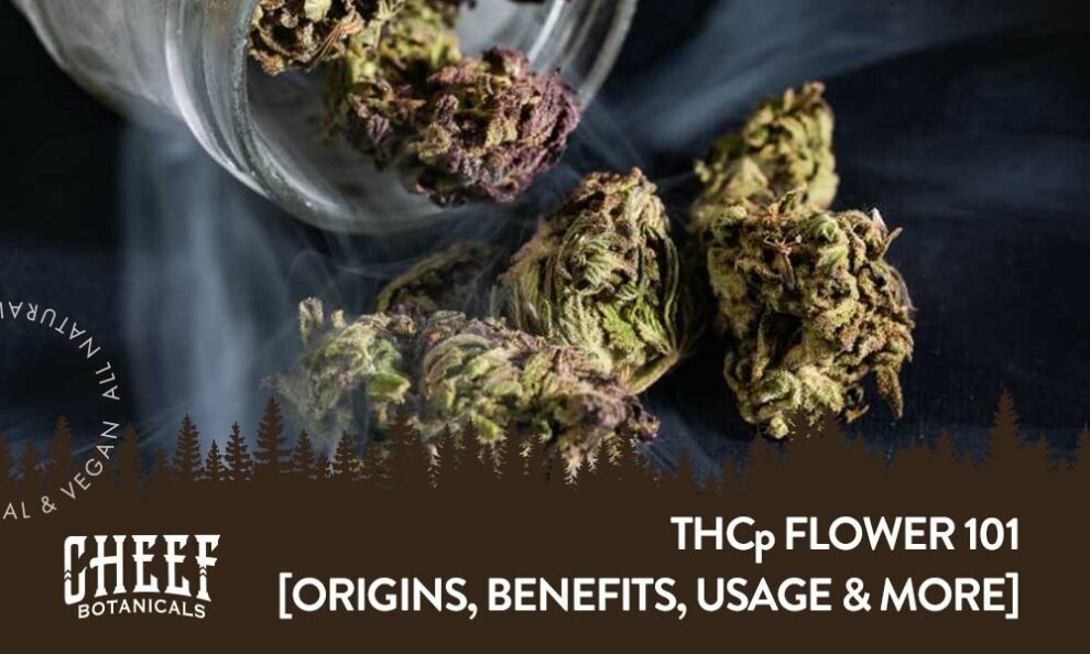 What Is THCp Flower? [Everything You Need To Know] - Cheef Botanicals