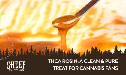 Cheef Botanicals feature image for thca rosin