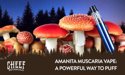 Amanita muscaria vape blog featured image. Blue vape leaning on a patch of amanita mushrooms, forest background