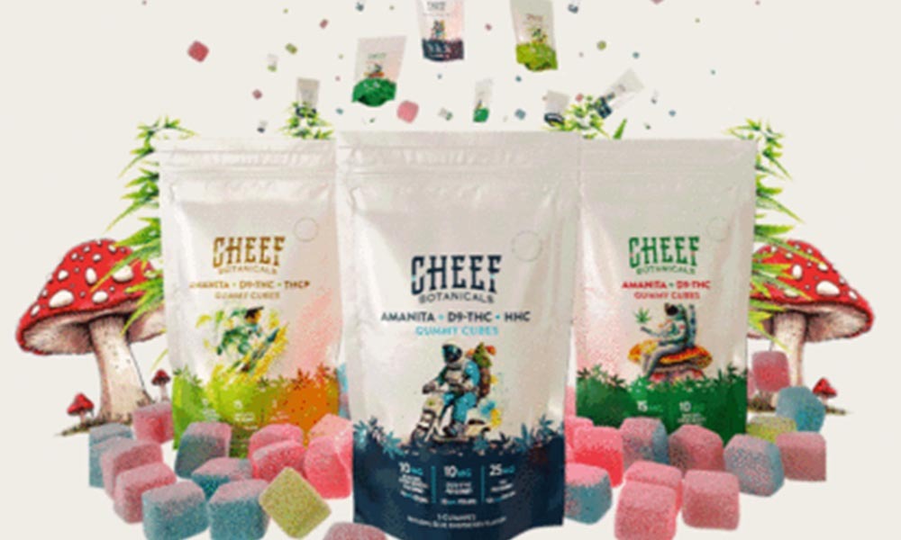 three bags of Cheef Botanicals' Amanita Muscaria Gummies with gummy cubs around them on an off white background