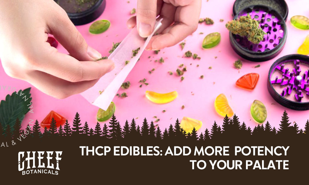 thcp edibles - cheef botanicals' featured image