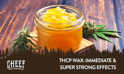 THCp wax featured Cheef Botanical's blog image. Medium size jar full of cannabis THCp wax concentrate