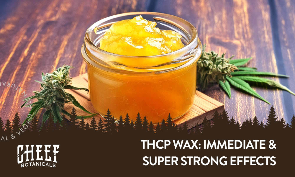 THCp wax featured Cheef Botanical's blog image. Medium size jar full of cannabis THCp wax concentrate