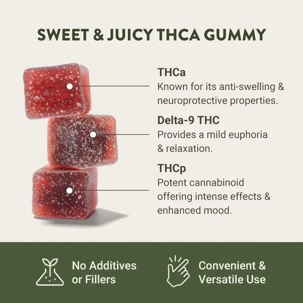 thca gummies infographic