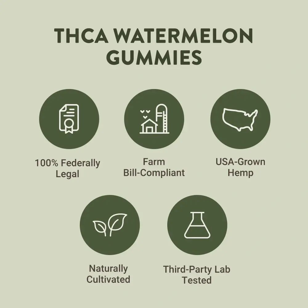 thca gummies infographic