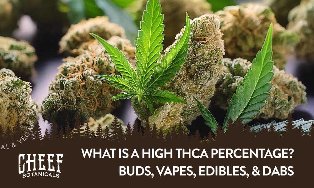 What is a high THCa percentage Holistapet featured blog image. close up image of cannabis buds and leaf.