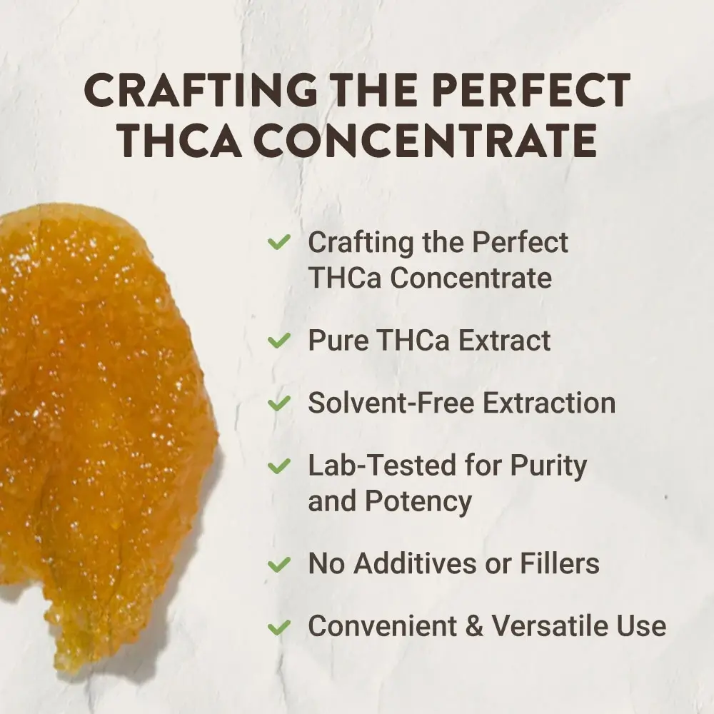 live rosin infographic